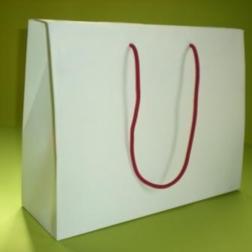 Art paper bags